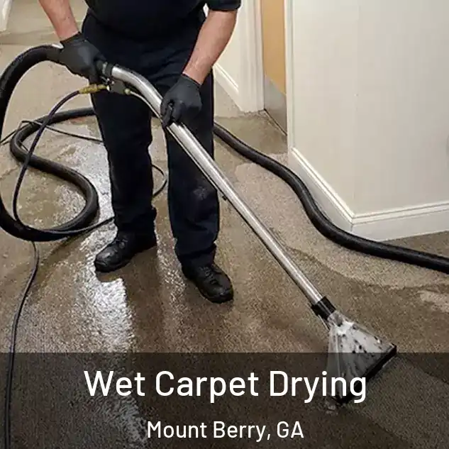  Wet Carpet Drying Mount Berry, GA